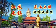 奇葩的日逼视频江苏无锡灵山大佛旅游风景区