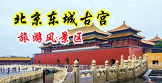 裸体插入大香蕉日比视频写真中国北京-东城古宫旅游风景区